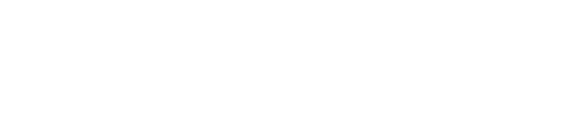 Solver
